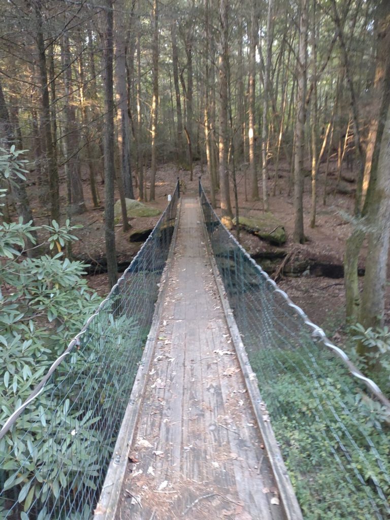 small swinging bridge crossing small creek in a wooded area