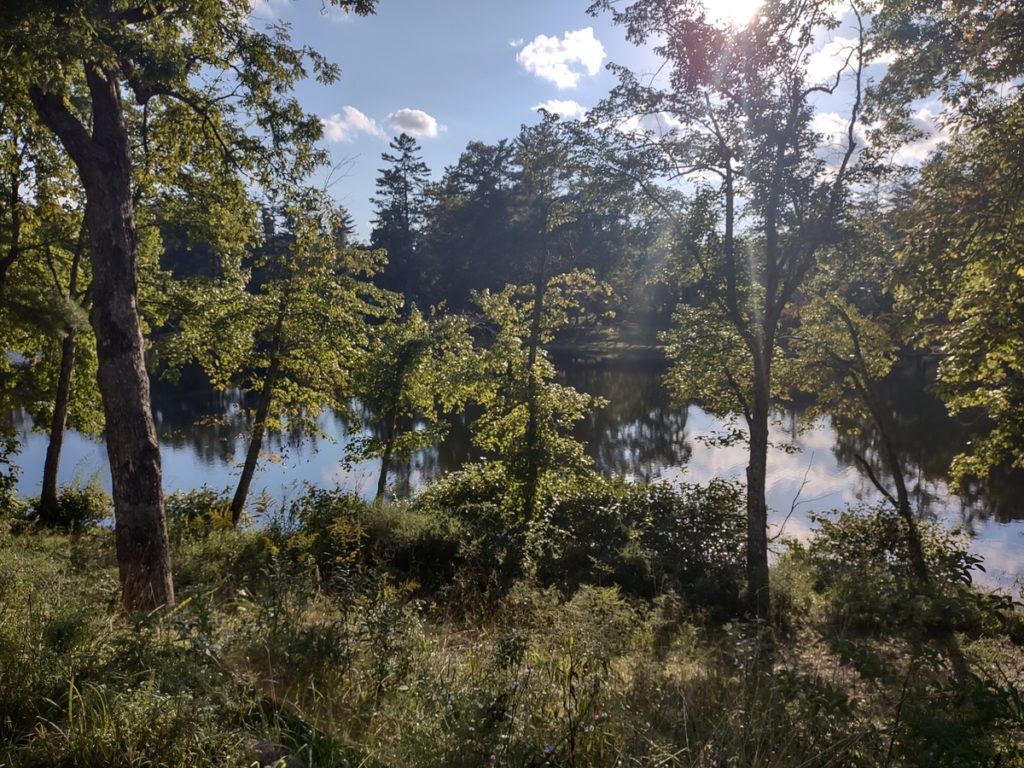 lake surrounded by tress, sunlight filtering through trees